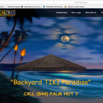 Nativeamericanpalmhuts2014